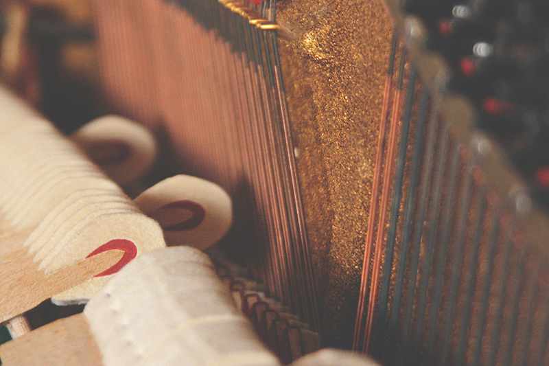 Tuning Voicing and Action Regulation